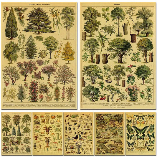 Póster retro de plantas de hierbas botánicas y flores, estudio de plantas silvestres, papel Kraft, bricolaje, decoración de la habitación del hogar, arte estético, pintura de pared