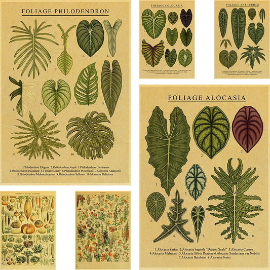 Kitchen Botany Poster Medicinal Herb Plants Retro Prints Botanical Illustration Home Room Art Wall Decor Vintage Forest Painting